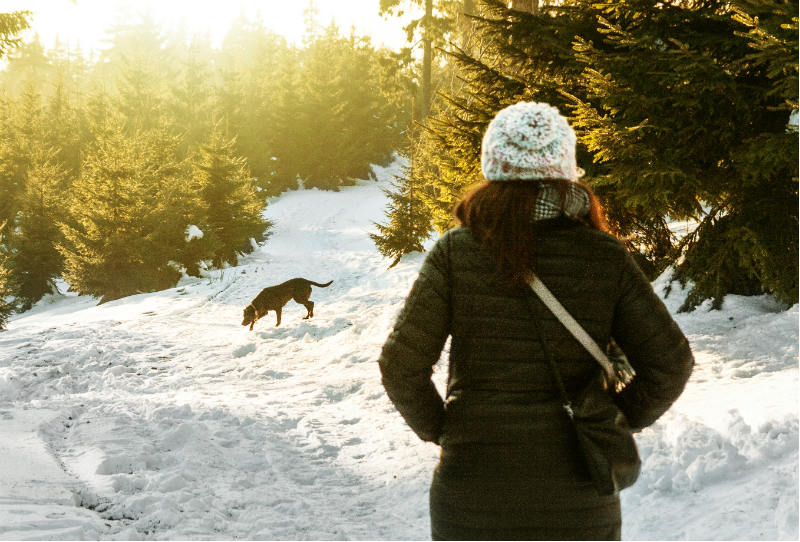 woman and dog in snow covered forest